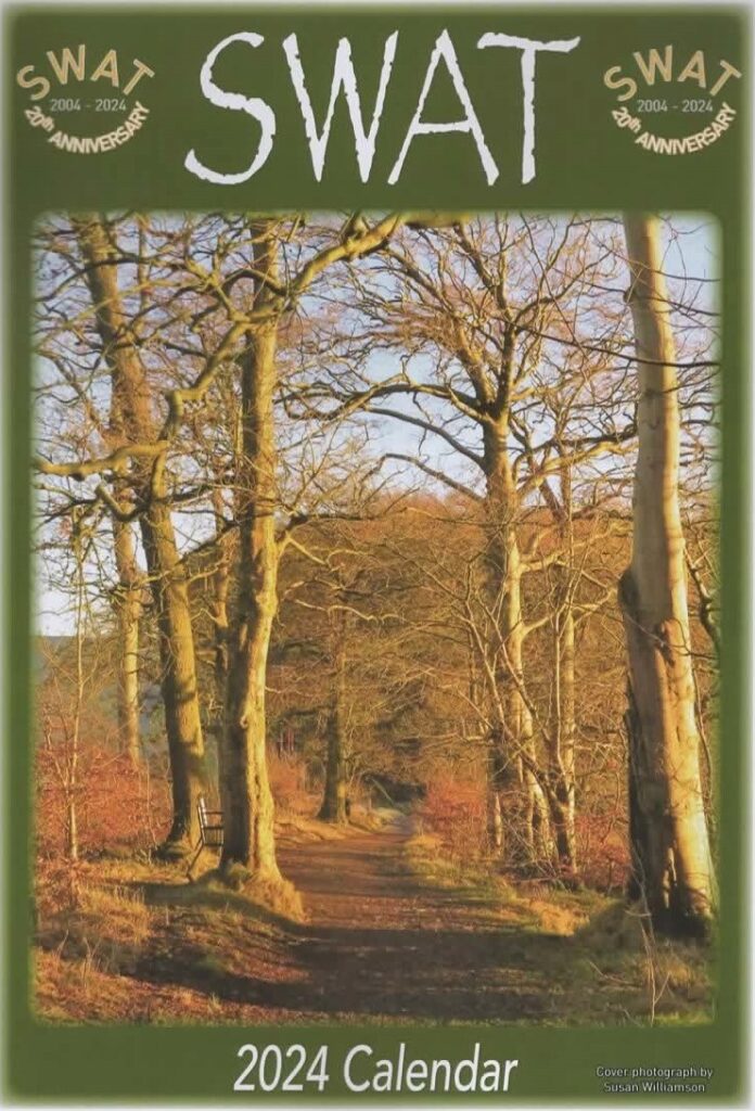 2024 Calendar Cover showing a woodland path